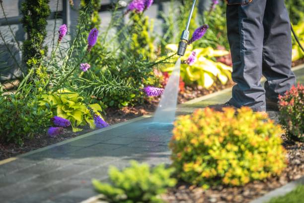 Best Sidewalk and Walkway Cleaning  in Buellton, CA